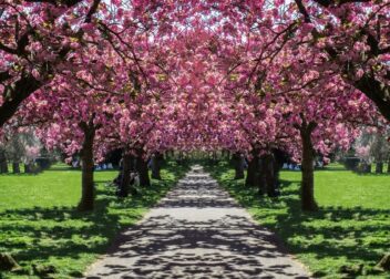 Top Spring Attractions in UK You Can Visit for Free