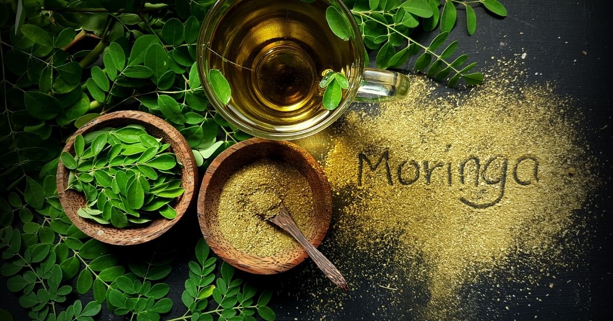 Fresh Moringa leaves, a nutrient-rich superfood known as the Miracle Tree, supporting immunity and overall health.