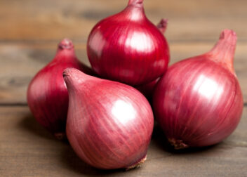Fresh and sliced onions showcasing their Ayurvedic health benefits for digestion, hair, and skin.