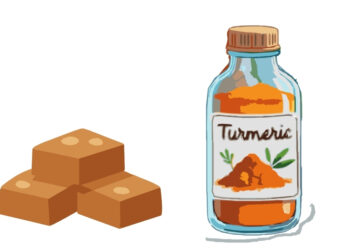 Haridra Khandam Choornam – Ayurvedic Fudge for Allergies, Skin & Immunity