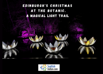 Floating illuminated lotus sculptures sit on a still pond at the Royal Botanic Garden Edinburgh, surrounded by purple lighting and night trees during the Christmas light trail.