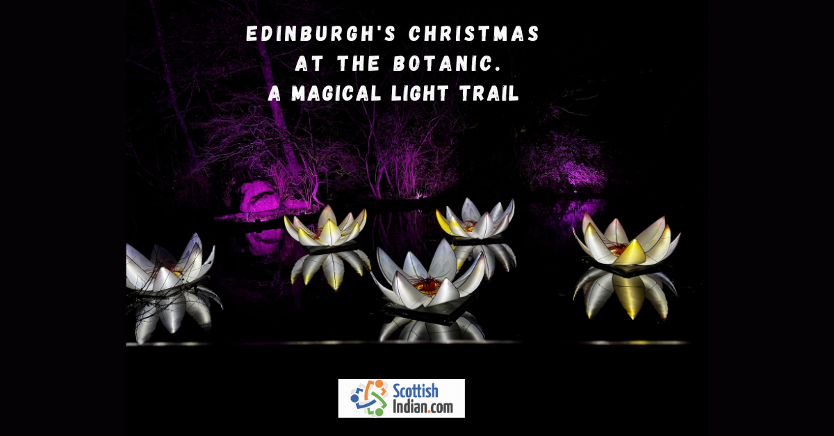 Floating illuminated lotus sculptures sit on a still pond at the Royal Botanic Garden Edinburgh, surrounded by purple lighting and night trees during the Christmas light trail.