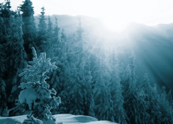 Winter landscape in the UK symbolizing Ayurveda-inspired seasonal wellness and healthy winter routines