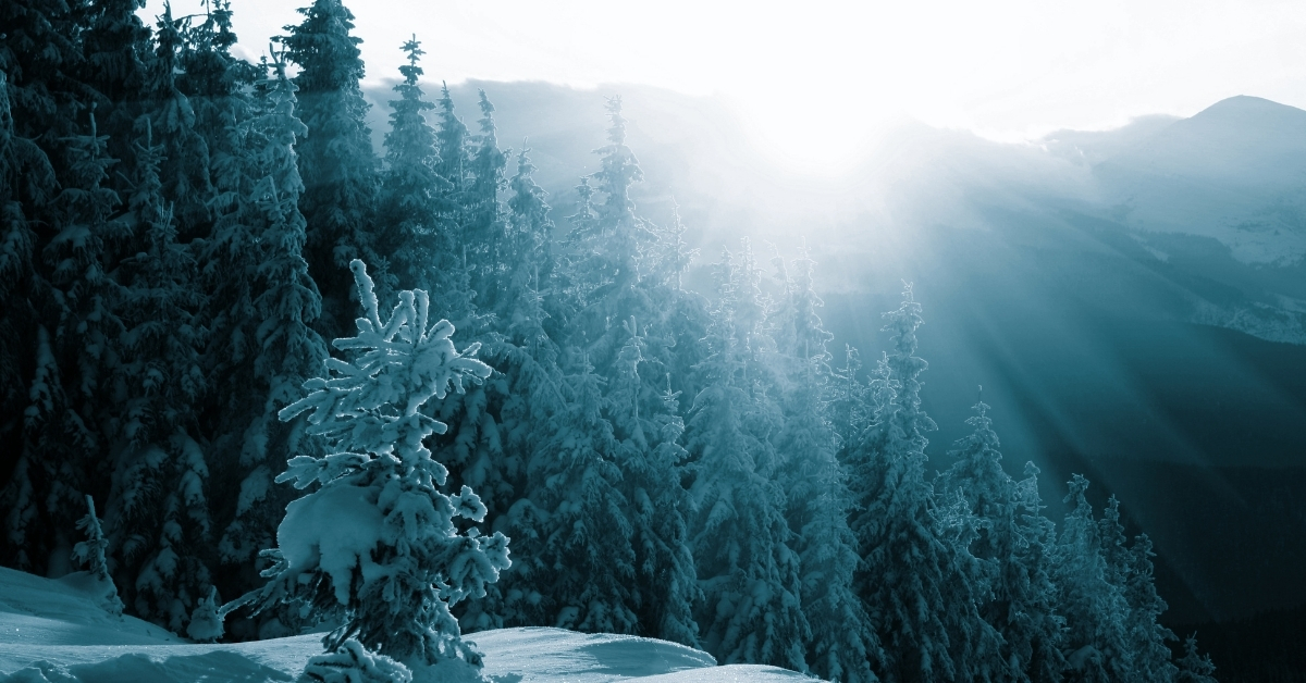 Winter landscape in the UK symbolizing Ayurveda-inspired seasonal wellness and healthy winter routines